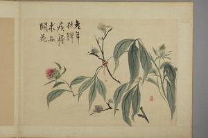华喦花卉图册
