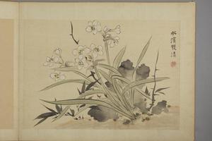 华喦花卉图册