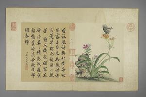 蒋廷锡花卉图册