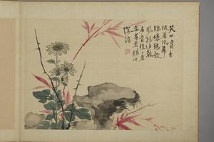 华喦花卉图册