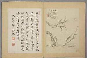 沈颢墨梅册