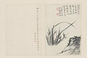原济兰竹册－坡石兰草