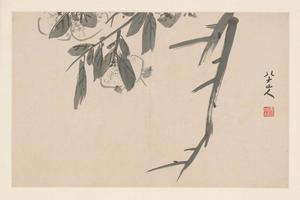 朱耷杂画册