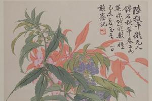 赵之谦花卉册-秋花页