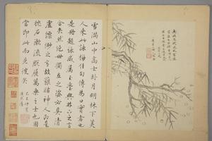 沈颢墨梅册