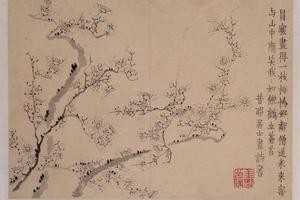 金农梅花册