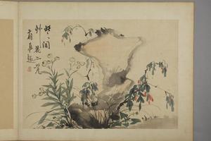 华喦花卉图册