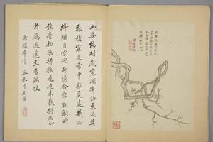 沈颢墨梅册