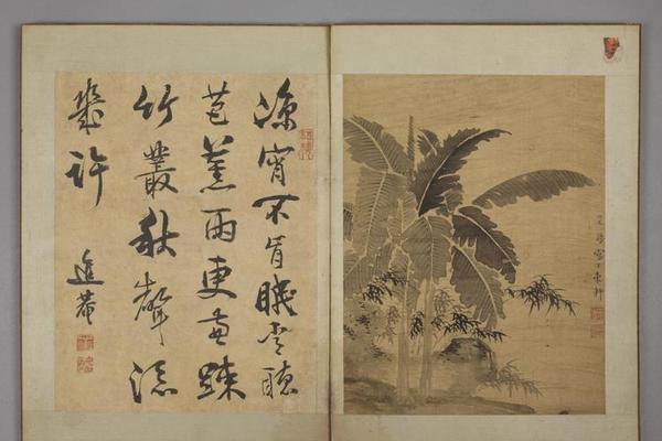王崿竹石册