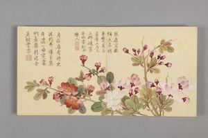 董诰花卉小册