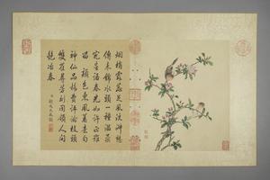 蒋廷锡花卉图册