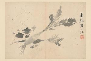 徐渭人物花卉册