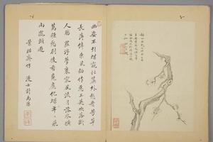 沈颢墨梅册