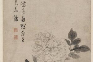 陈道复牡丹花卉图轴