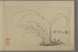 汪士慎兰梅册