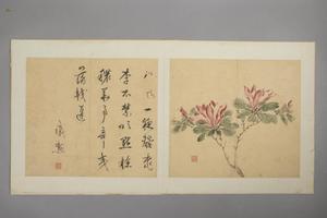 戚勋花卉册