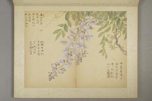 邹一桂花卉图册