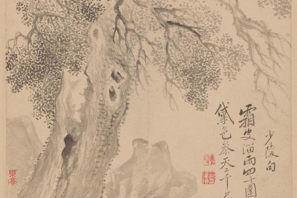 范廷镇花卉册