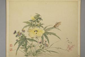 周铨花鸟昆虫册