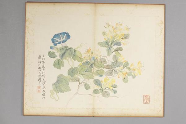 吴楷花卉册