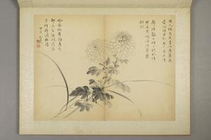 邹一桂花卉图册