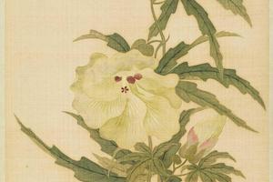 范廷镇花卉图册