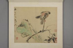 华喦花鸟册