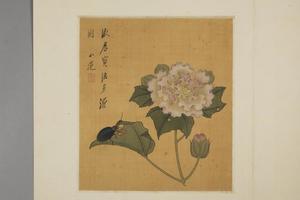陈字杂画册