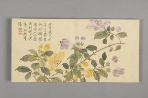 董诰花卉小册