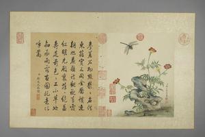 蒋廷锡花卉图册