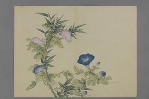 蒋溥花卉图册