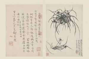 原济兰竹册－兰草