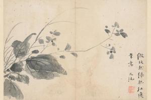 徐渭人物花卉册