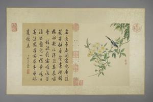 蒋廷锡花卉图册