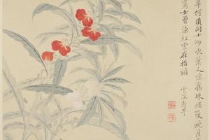 恽寿平花卉册