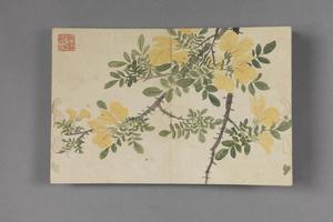 董诰花卉册