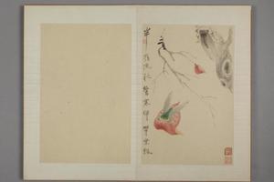 华喦杂画册
