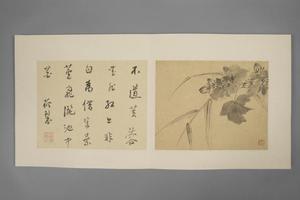 项圣谟花卉册