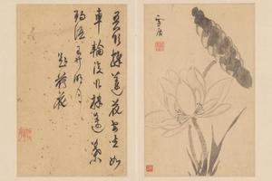 孙克弘花卉册