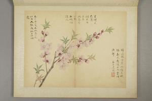 邹一桂花卉图册