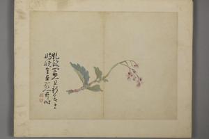 黄慎杂画册