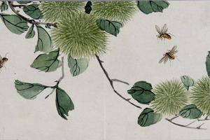 黄钺化洽翾蜎图册