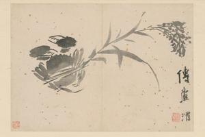 徐渭人物花卉册