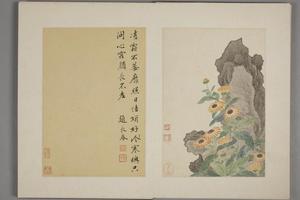 王武花卉册