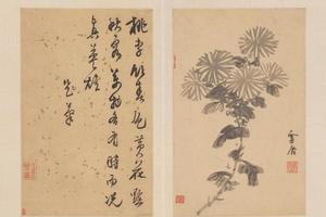 孙克弘花卉册