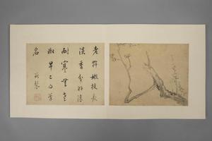 项圣谟花卉册