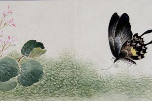 黄钺化洽翾蜎图册