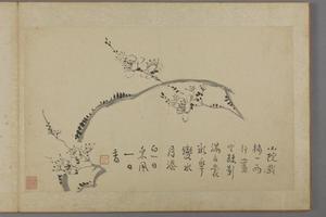 汪士慎兰梅册