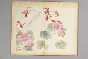 吴楷花卉册