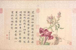 郎世宁花鸟册